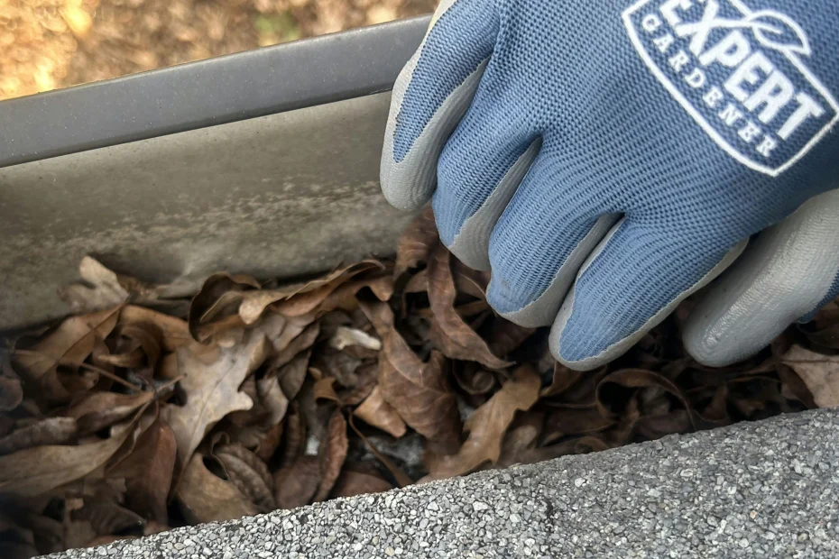 Gutter Cleaning Friendswood, TX