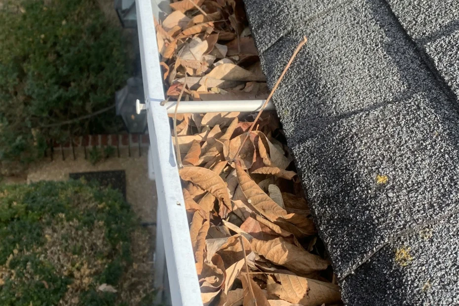 Gutter Cleaning Friendswood, TX